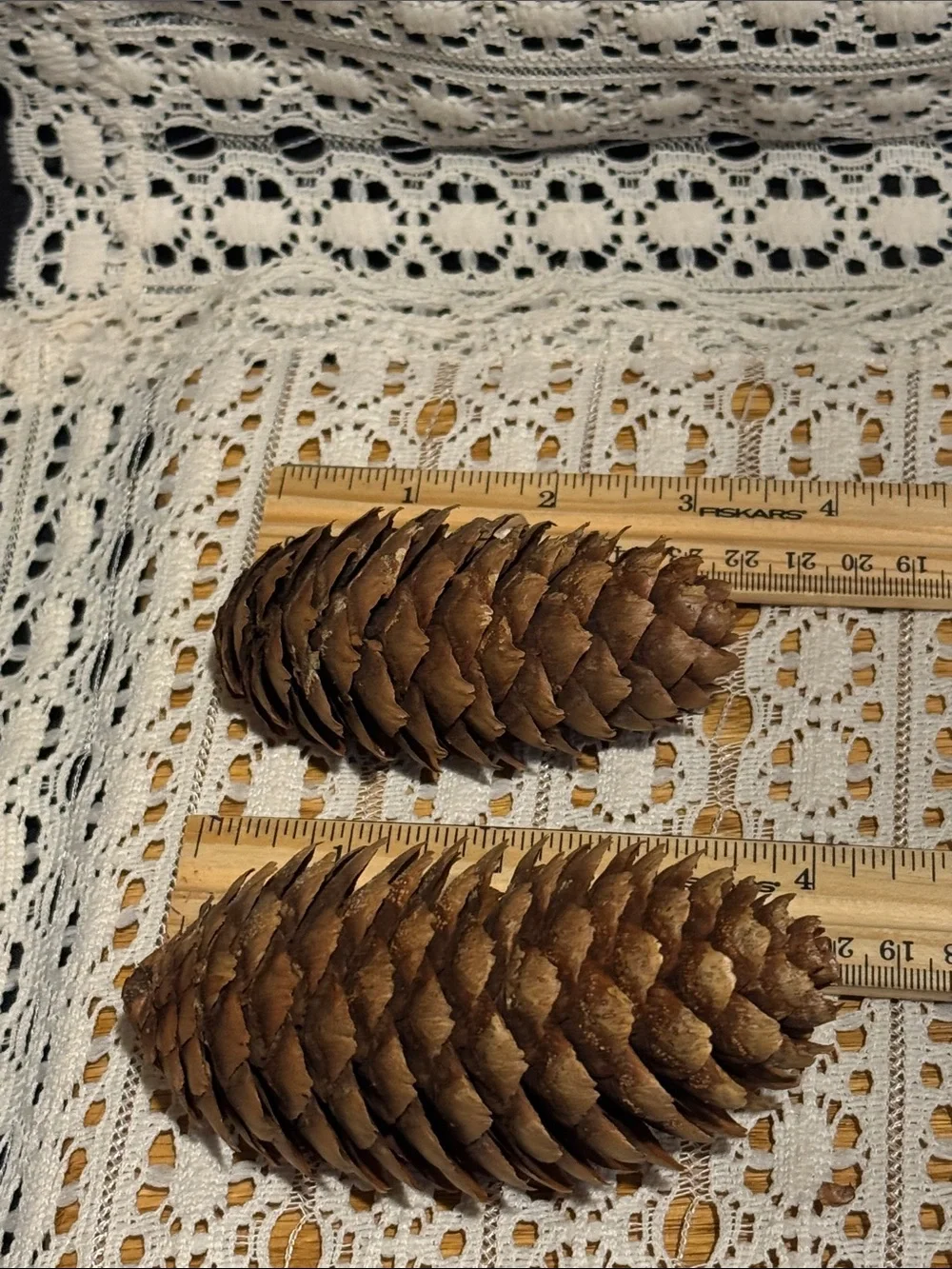 Vintage Barrel Shaped Glass Jar with Real Pine Cones